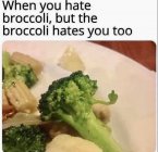 DBDB49BF-9CFD-4548-9C74-4FC9E481D753.jpeg
