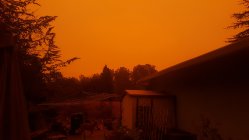 20200909smoke.jpg