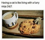 BAA3FDC8-2408-4450-9B2A-E3F392E427DA.jpeg