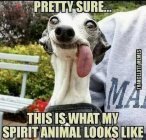 5642E2AD-B353-444B-8283-39F54BCACA40.jpeg