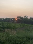 IMG_5763.jpeg