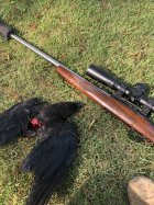 IMG_3570.jpeg