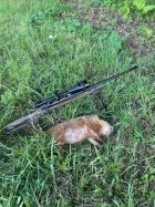 IMG_5967.jpeg IMG_5967.jpeg