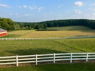 IMG_5969.jpeg IMG_5969.jpeg