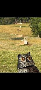 D5292DA7-A863-4D6D-8B1A-E9B226477F89.jpeg