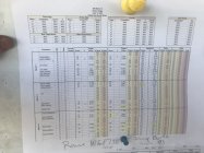 IMG_1166.jpeg