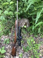 IMG_3631.jpeg