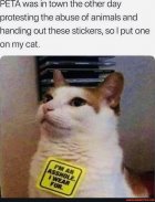 A33E58B4-BB3D-48BE-8BCF-30D87B8F8568.jpeg