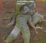 Creepy Tree Root.jpg