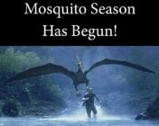 Texas - Mosquito Season Has Begun.jpeg
