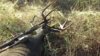 T-Ranch Buck 102716.jpg