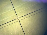 IMG_5975.jpeg IMG_5975.jpeg