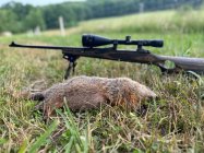 IMG_5977.jpeg IMG_5977.jpeg