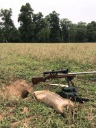 EAF06B4B-7E30-4DC7-8F77-456459181E8E.jpeg EAF06B4B-7E30-4DC7-8F77-456459181E8E.jpeg