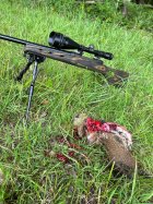 70898842454__FB633FC1-182D-4C1B-9C79-9A45B420866C.jpeg 70898842454__FB633FC1-182D-4C1B-9C79-9A45B420866C.jpeg