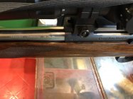IMG_3541.jpeg