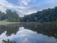 IMG_3918.jpeg