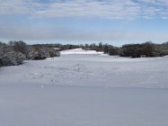 IMG_0330.jpeg