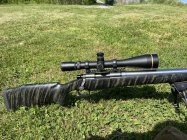 IMG_2156.jpeg