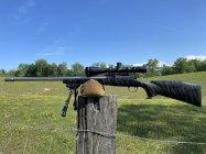 IMG_2157.jpeg