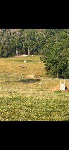 IMG_8102.jpg