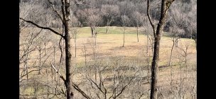 IMG_8122.jpg