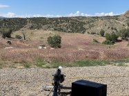 IMG_2137.jpeg