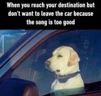 3F7EC520-4221-4327-A740-F5F0BCF8E080.jpeg