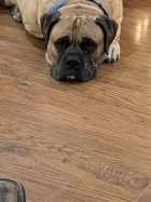 IMG_5798.jpeg