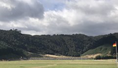 IMG_1896.jpeg