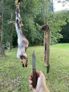 IMG_2518.jpeg