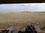 Lubbock, Tx.jpg