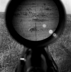 PD_1a_2021.jpg