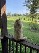 IMG_7771.jpeg