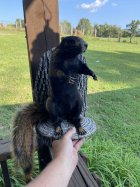 IMG_7774.jpeg