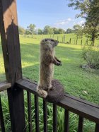 IMG_7770.jpeg
