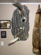 IMG_2540.jpeg