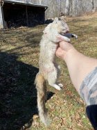 IMG_8779.jpeg