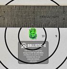 Ballistic-X-Export-2023-06-27 21:08:36.576258.jpg