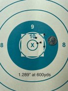600yd target.jpg