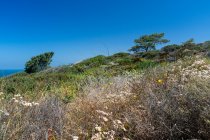 _DSC5156_Web.jpg
