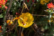 _DSC5269_Web.jpg
