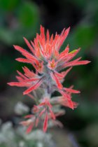 _DSC5540-Edit-Web.jpg