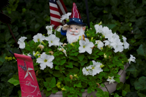 _DSC2259 LR.png