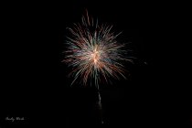 A81_5050-Edit-Edit.JPG
