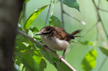 _DSC1513 cropped LR.png