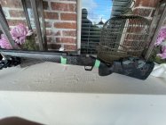 IMG_2753.jpeg