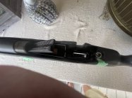 IMG_2755.jpeg