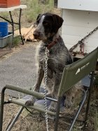 IMG_7704.jpeg