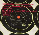240smk300Win76RL33.jpg